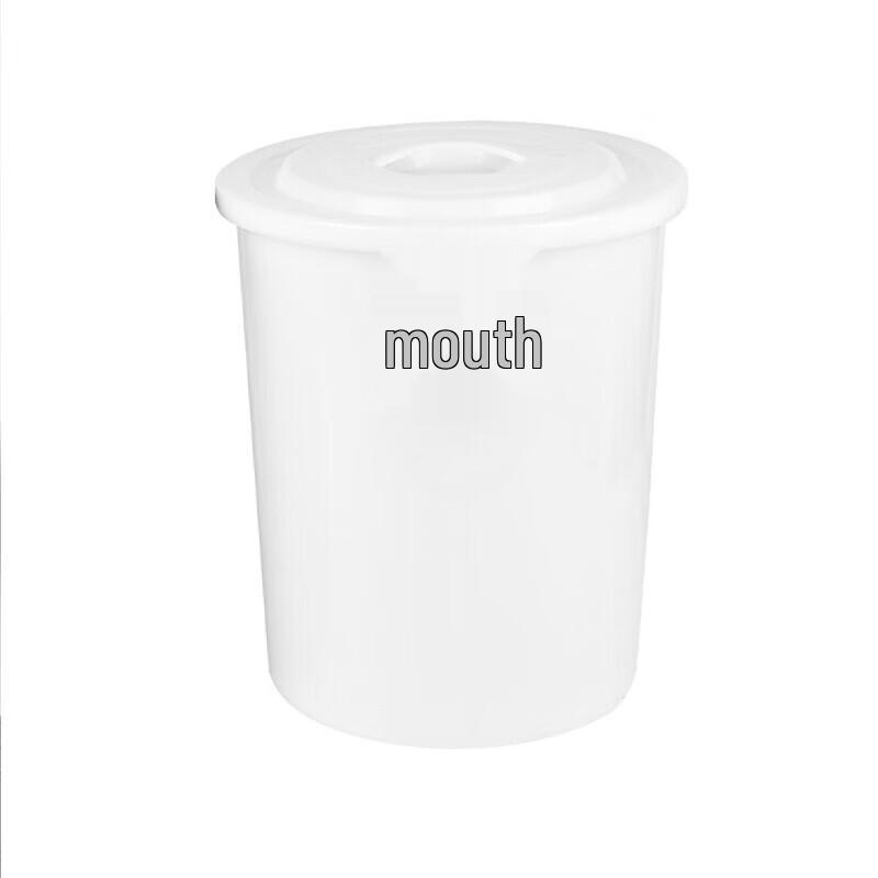 BAILOCK 100L Heavy-Duty Plastic Water Storage Bucket with Lid