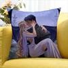 Acotar Court M-Mist And Fury Various Sizes Square Pillow Case For Car Home Bedchamber Decor