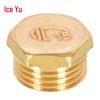 Bingyu Brass Water Pipe Plugs