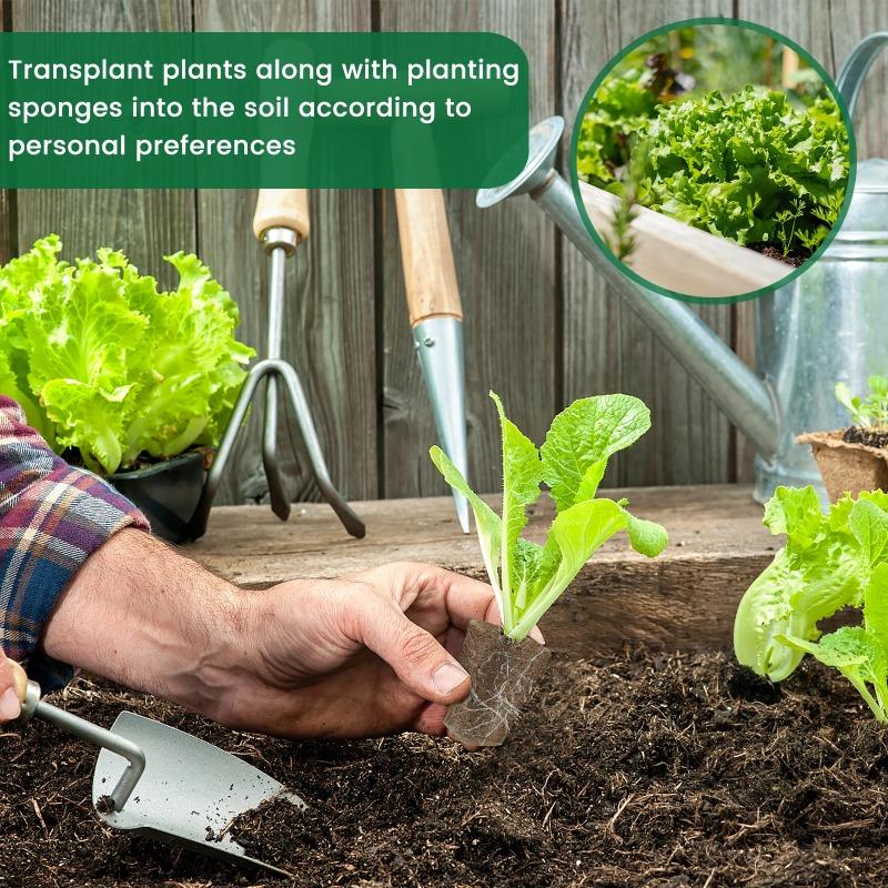 Planting Cotton Seed Grow Sponges Hydroponics Starter Replacement Root Growth Sponges Gardening Pod Garden Planting Accessories