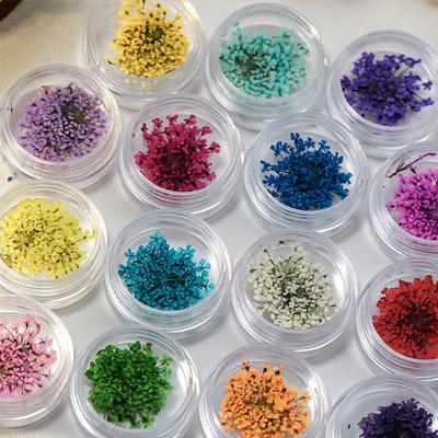 5Pcs/Box 3D Dried Flowers Nail Art Decorations Dry Floral Bloom Stickers Diy Manicure Charms Designs For Nails Accessories