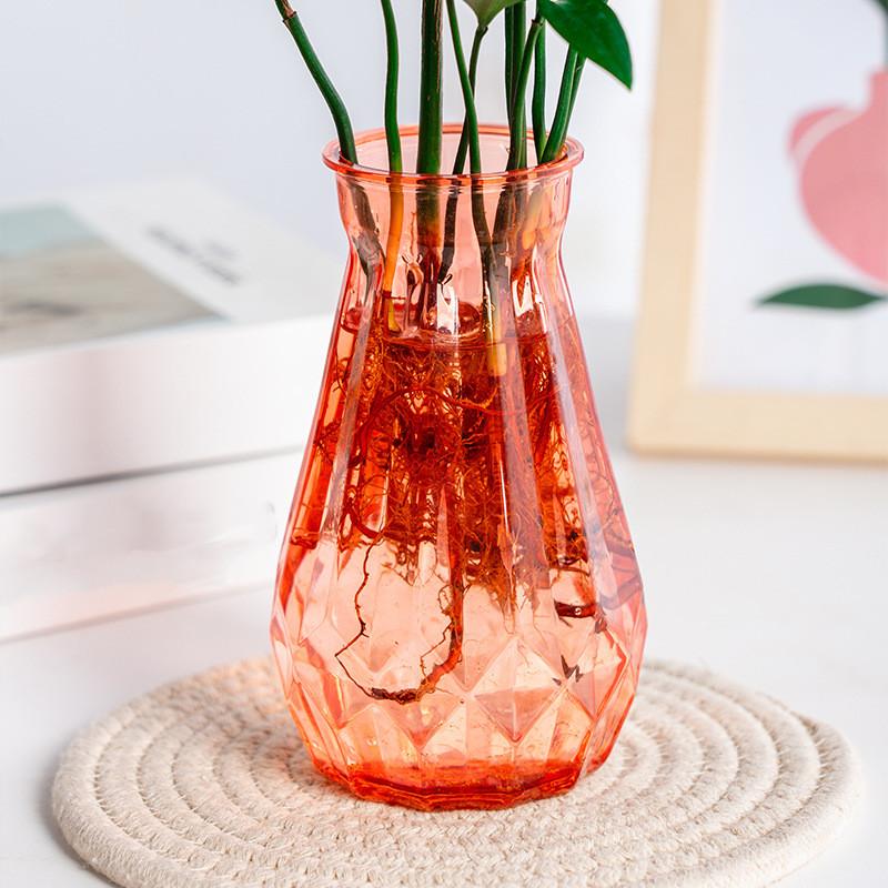 Hydroponic Plants Pot Creative Transparent Vases for Plant Bottle Lazy Flower Pot Plastic Flower Pot Table Vase Home Decor