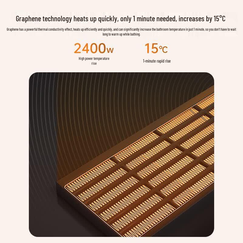 MICOE Graphene Ceiling Mount Bathroom Heater