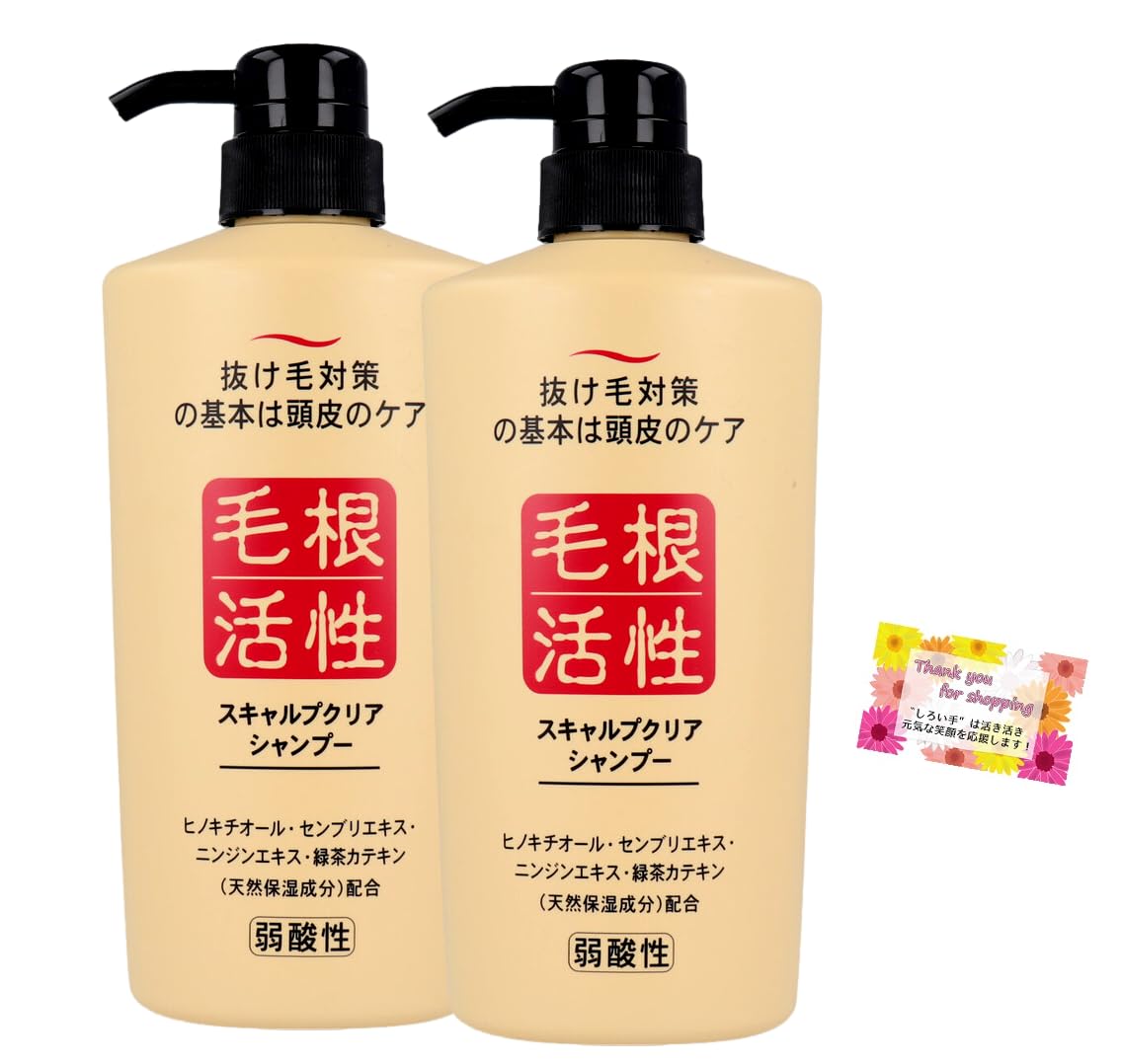 

Hair root activation scalp clear shampoo for hair weak fresh marine 550mL of loss, acidity, colorant-free, scent, [set 2]