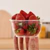 50 Pcs Disposable Transparent Heavy Duty Plastic Bowls For Ice Cream Dessert Fruit Salad Picnic Wedding Party Food Container