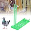 3Pcs Pigeons Foot Rings Frame 4 Column Independent Save Space Racing Pigeons Supplier Foot Place for Pigeons Farm
