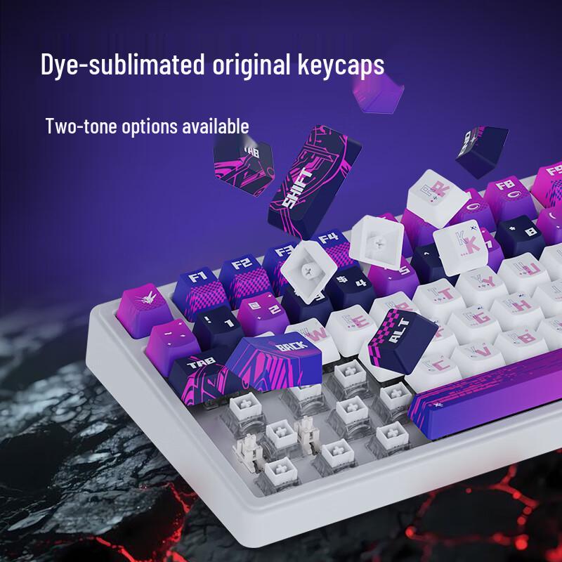 RKR75Pro Customizable Magnetic RGB Gaming Keyboard