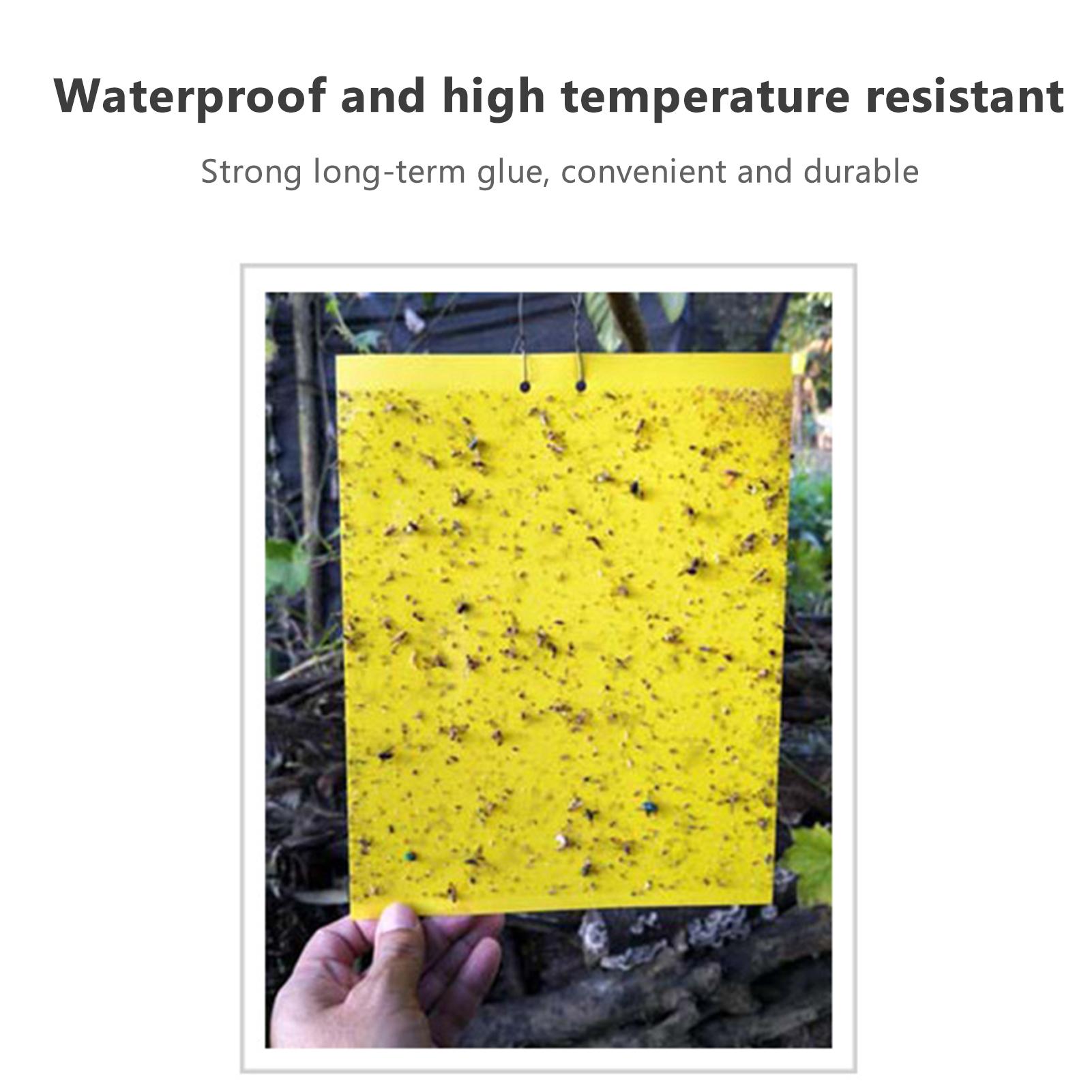 

Sticky Traps for Flying Plant Insect Fungus Gnats 20pcs 20*25cm Dual Sided Flying Insect Traps can be Cut yellow-20X10cm
