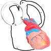 Porte-clés Imprimé en 3D Pendentif Structure Cardiaque Réaliste Outil d'Apprentissage Compact pour Salles de Classe Démonstrations Cliniques