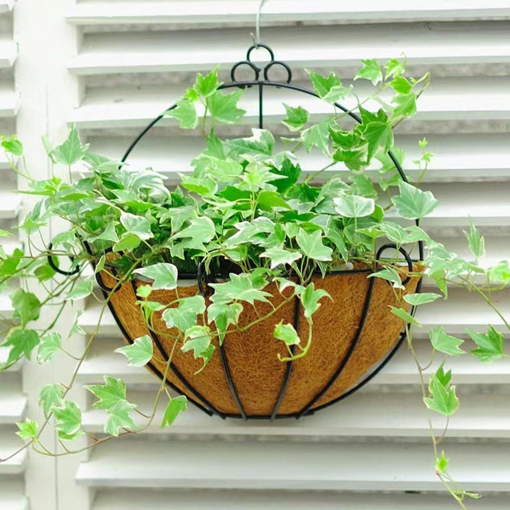 Cocoanut Hanging Basket Cocoanut Hanging Pot Cocoanut Hanging Pot Cocoanut Hanging Basket Half-round Flower Stand Hanging Basket