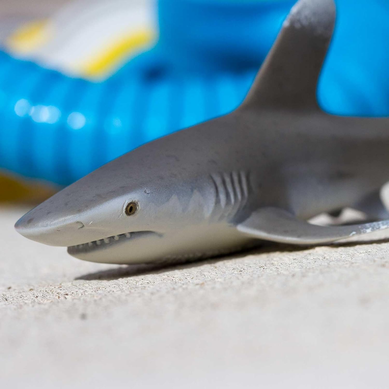 Safari Ltd. Oceanic Whitetip Shark Figurine - Realistic 6 Plastic Figure - Educational Ocean Toy for Boys, Girls, and Kids Ages 3+
