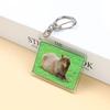 Capybara Keyring DIY Tags Backpack Luggage Keychains Ornaments Animal Keychain