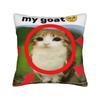 Pillow Case Meowl Cat Owl Cute Pet Stickers Print Pillow Cover For Sofa Couch Bed Living Room Vintage Pillowcases
