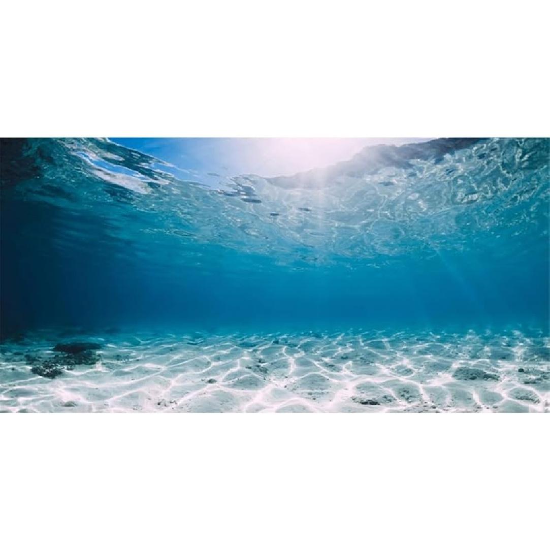 AWERT 24x12 inches Polyester Undersea Theme Ocean Floor Aquarium Background Tropical Fish Tank Background 60x24in/150x60cm