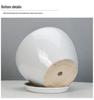 White Ceramic Orchid Pot, Large Elegant Design for Living Room