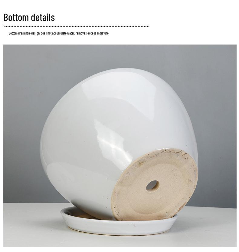 White Ceramic Orchid Pot, Large Elegant Design for Living Room