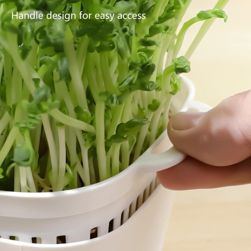 Plastic Bean Sprout Nursery Easy Observation Sprouting Basket for Kitchen or Balcony Gardens Germination Supplies