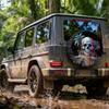 Skull Palm Tree Tire Cover Polyester Waterproof Sun Protection Outdoor SUV Spare Wheel