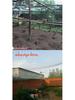 Polyethylene Fishing Net Mesh Sheet for Enclosures, Cages, and Aquaculture Ponds