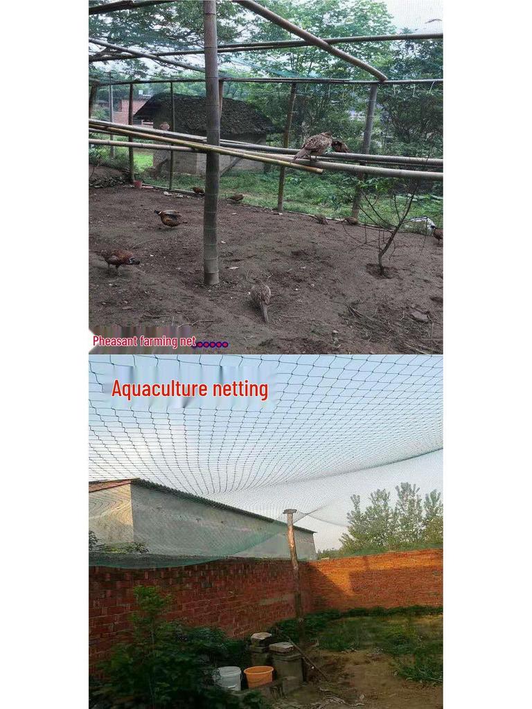 Polyethylene Fishing Net Mesh Sheet for Enclosures, Cages, and Aquaculture Ponds