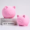3D Cartoon Pig Silicone Candle Mold DIY Cute Animal Piggy Craft Gifts Making Soap Resin Plaster Casting Molds Home Deco Supplies
