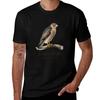 Coopers Hawk - The Bird Lover Collection T-Shirt Independence Day Short Sleeve T-Shirt