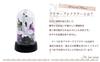 Art Four Seasons Mini Color Mini Dome White Preserved Flowers