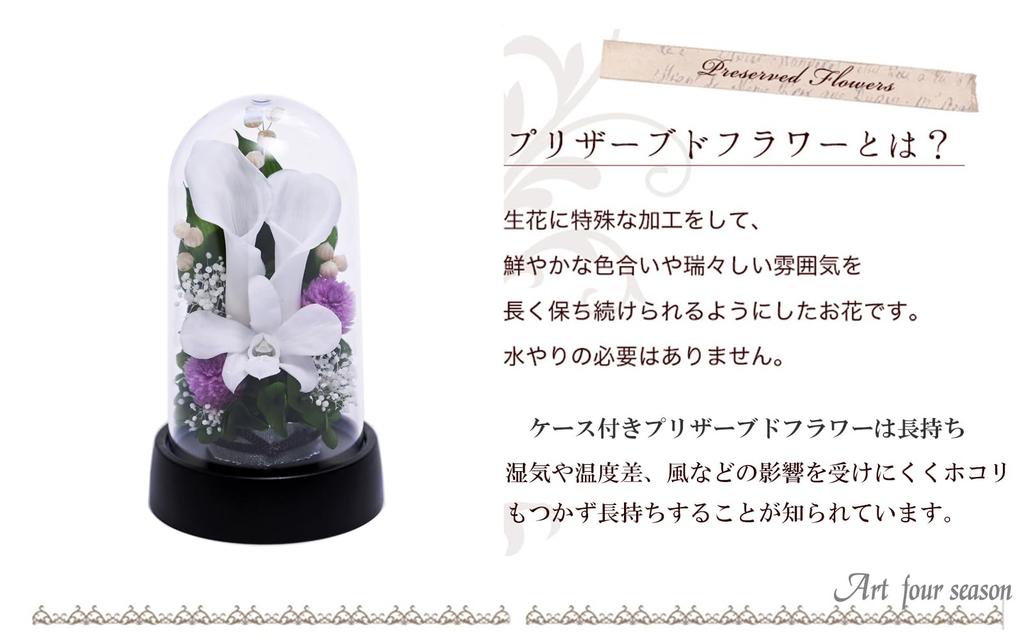Art Four Seasons Mini Color Mini Dome White Preserved Flowers