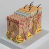 Anatomiczny Model Skóry 3D Pomoc Dydaktyczna Model Skóry Ludzkiej Anatomia Skóry Ludzkiej Model Struktury Skóry Ludzkiej Model Anatomiczny