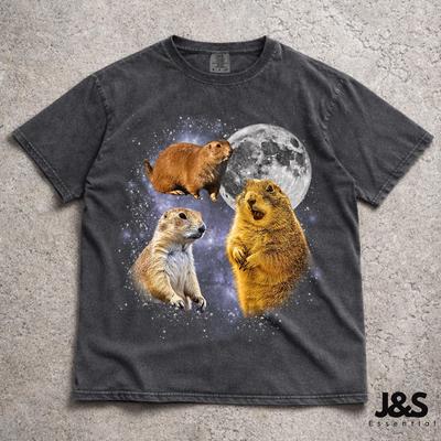Üst giysisi – T-shirtler