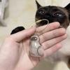 Acrylic Pet Hair Keepsakes Display Box With Rope Cats Furs Collectible Storage Container Keychain Pendant Home Decors