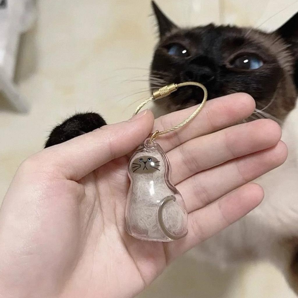 Acrylic Pet Hair Keepsakes Display Box With Rope Cats Furs Collectible Storage Container Keychain Pendant Home Decors