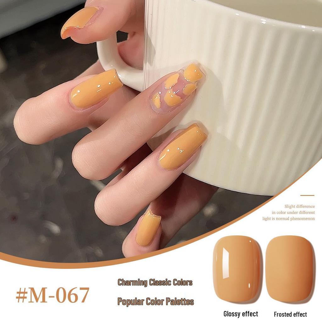 2025 New Japanese Colors UV/LED Nail Gel Set for Salon Manicure