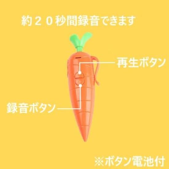 Carrot Recorder Pen Toy for Kids Cute Ballpoint Pen for Boys and Girls Kids Recording Pen Ink Pen 2 Pieces