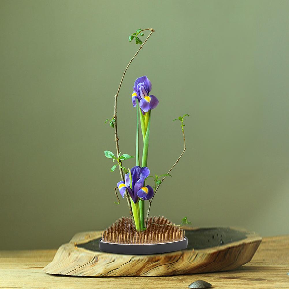 Arc shaped Flower Kenzan Holder Flower Arrangement Needle Pin Arranging Tool Accessories(L )