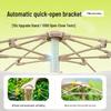Explorer Automatic Portable Outdoor Camping Tent