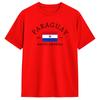 Paraguay Flag T Shirt Summer Trending TShirts Unisex Cotton O Neck Oversized Tees ShortSleeved Vintage Tshirt
