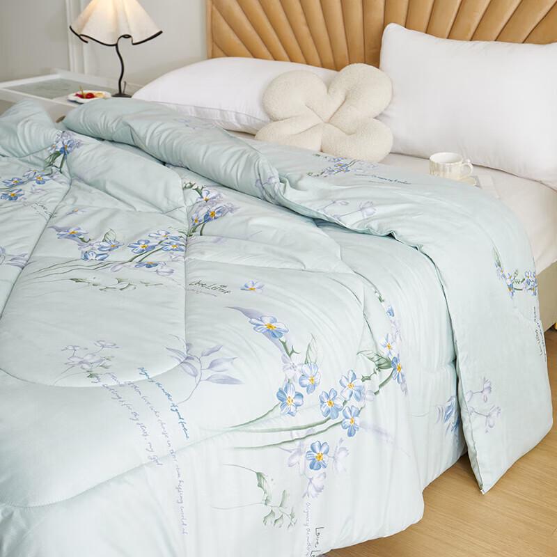 Begaman BGM-BX241 Lavender Soy Fiber Warm Quilt