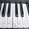 Piano Stickers for 88/61/54/49/37 Keys Piano Keyboard Music Labels Clear Piano Keyboard Stickers Easy to Read