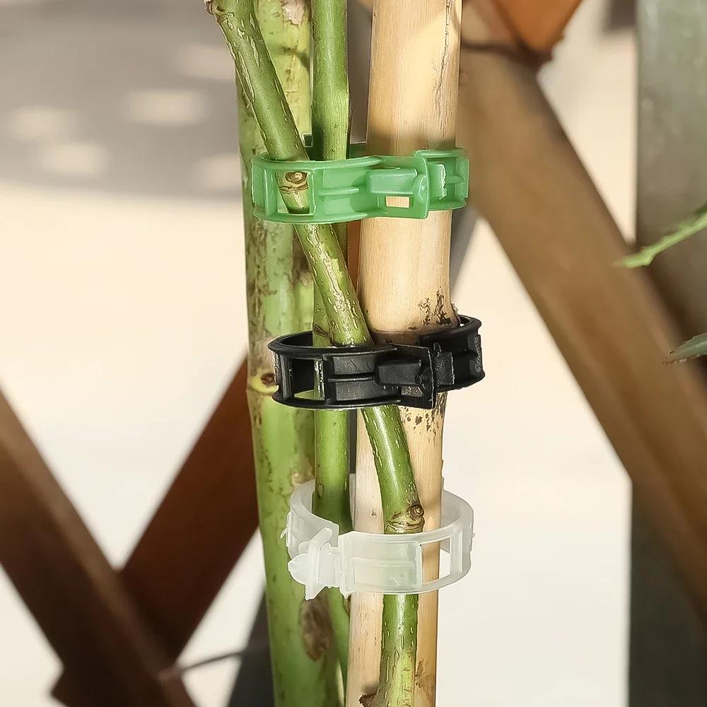 200/50PCS Plant Support Clips Reusable Plastic Connects Vine Fixing Clip Tomato Grape Vegetable Plants Holder Buckle Garden Tool