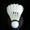 Longjian Training Badminton Shuttlecock
