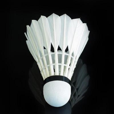 Badminton – Skyttlar
