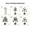 Pyrite Crystal Tree for Money - Money Stone Tree for Wealth, Confidence, Vastu Correction, Positive Energy