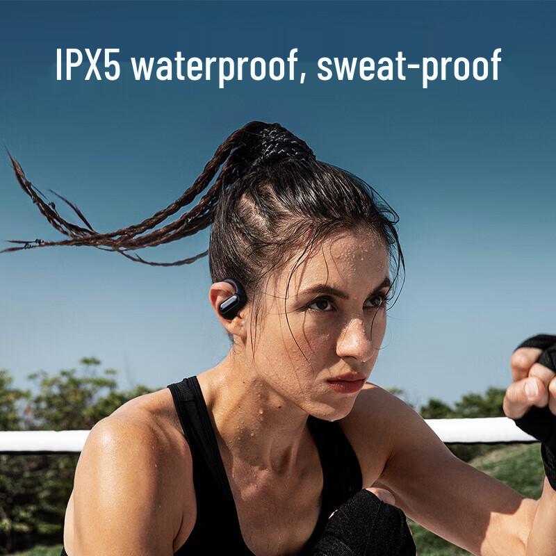 Lanston TS05 Ear-Hook Bluetooth Headset