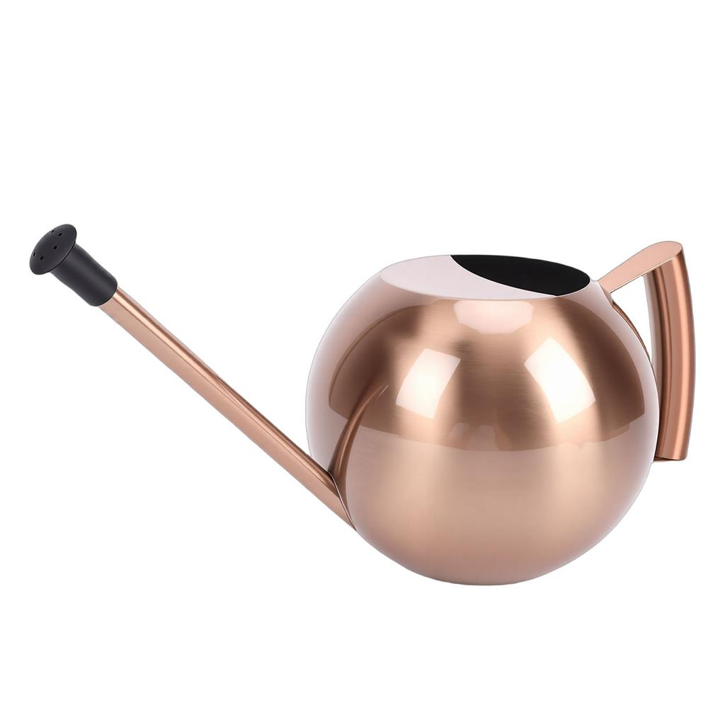 Watering Can with Spout 1000ml Stainless Steel Round Indoor Plant Watering Can with Detachable Head for Home Garden Flower