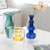 European Glass Rattan Aroma Vase - Double Layer, Colored Glass, Flameless Hydroponic for Living Room