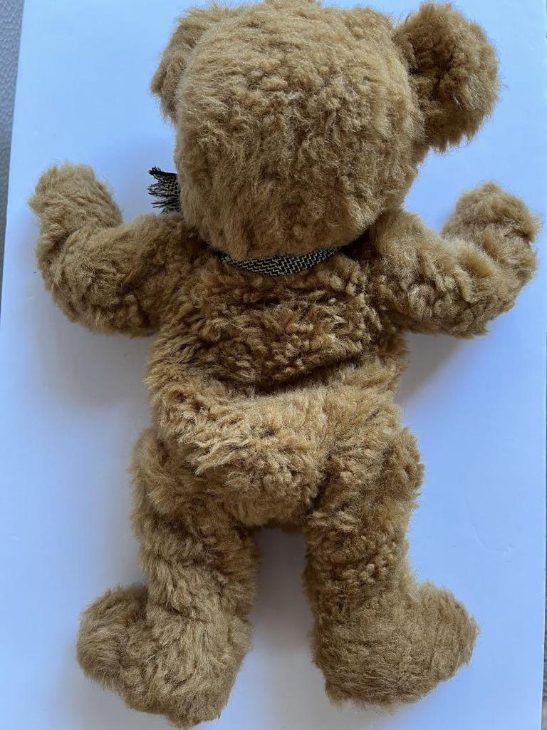 [USED] Exhausted Teddy Bear