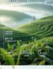Premium Mingqian Biluochun Green Tea New Tea Xinyang Maojian Bean Fragrance Longjing Spring Tea Ceramic Gift Box Gift for Elders