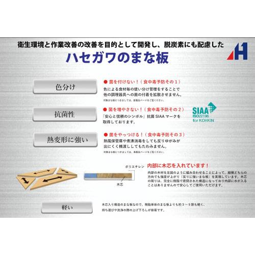 Hasegawa Polyethylene Antibacterial Lightweight Green 460 x 260 mm SDK20-4626 G