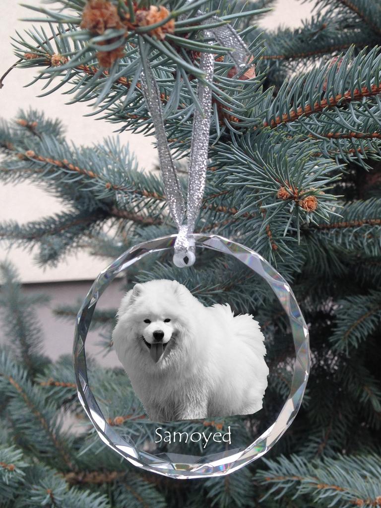 Samoyed, Bjelkier, Samoiedskaya Sobaka – Crystal bauble with a photo, dog photo in crystal | Art-Dog